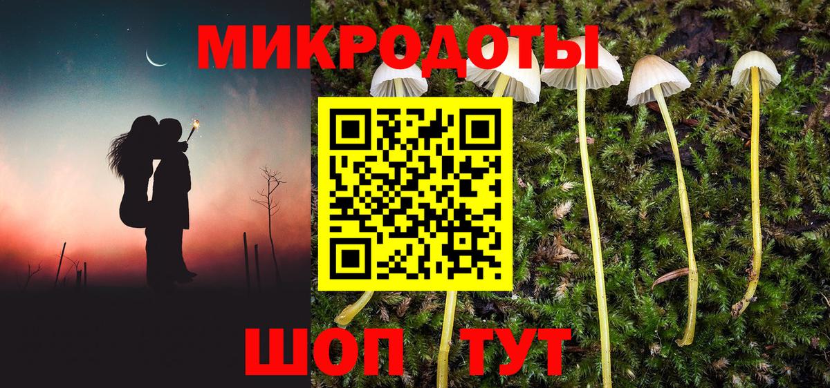 Псилоцибиновые грибы мицелий Новочеркасск